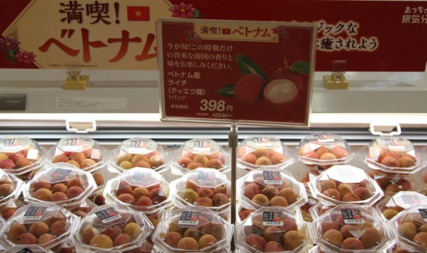 AEON event promotes Vietnamese products in Japan hinh anh 1