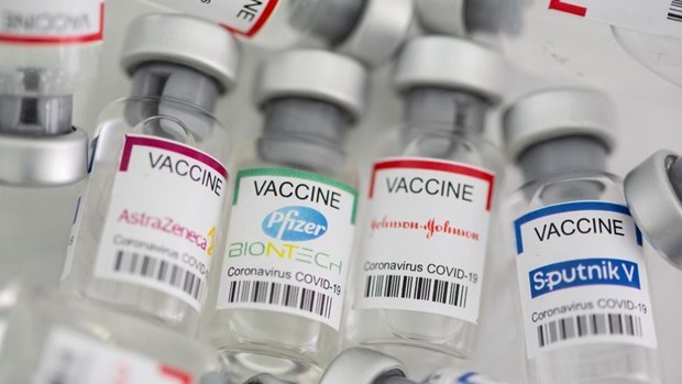 ASEAN nations seek COVID-19 vaccine supply sources hinh anh 1