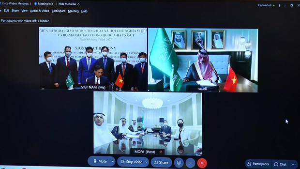 Vietnamese, Saudi Arabian foreign ministries sign MoU on political consultation hinh anh 1