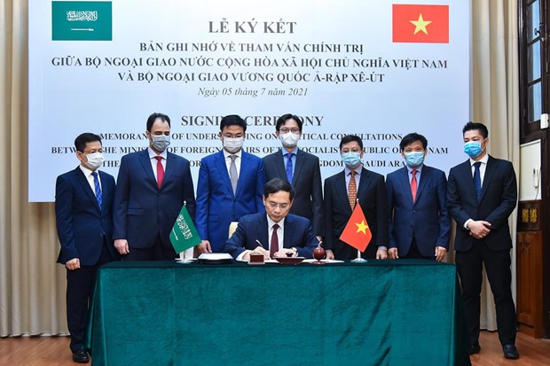 Vietnamese, Saudi Arabian foreign ministries sign MoU on political consultation hinh anh 2