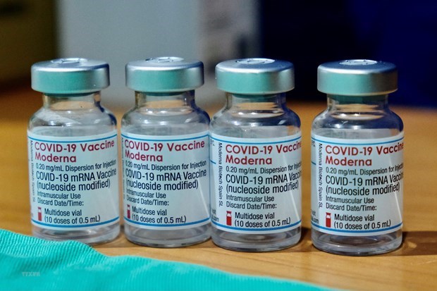 Vietnam calls for sharing of information on COVID-19 vaccines hinh anh 1