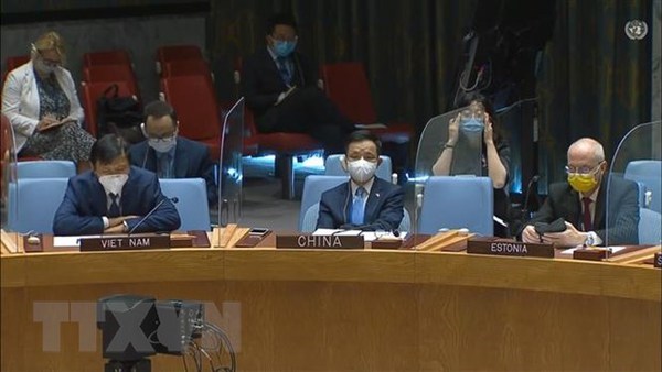 UNSC: Vietnam supports comprehensive political solution in Libya hinh anh 1