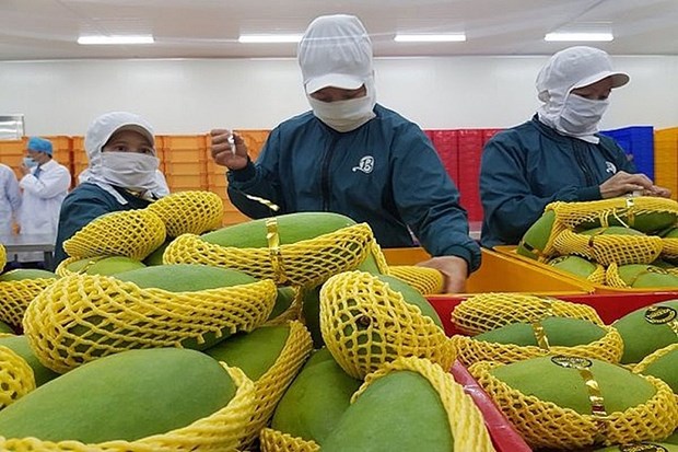 Fruit, vegetables exports to hit 4 billion USD hinh anh 1