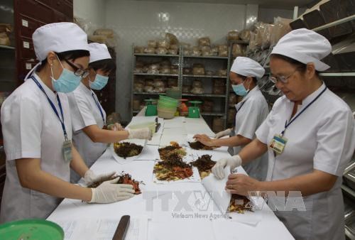 Traditional medicines used to assist COVID-19 treatment hinh anh 1