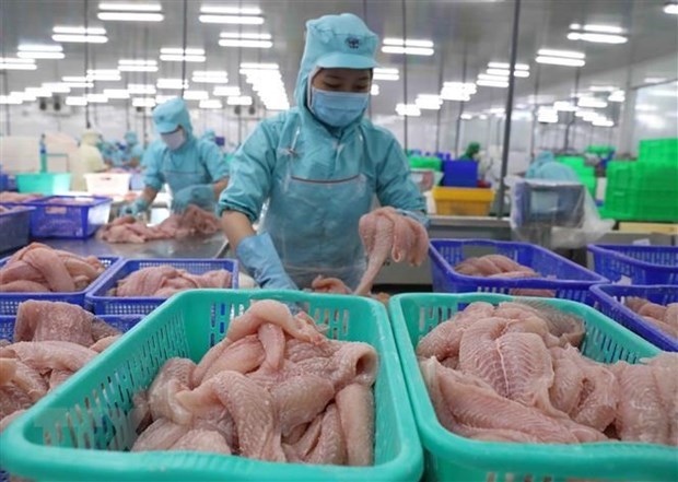 Firms must try to take advantage of FTAs: experts hinh anh 1