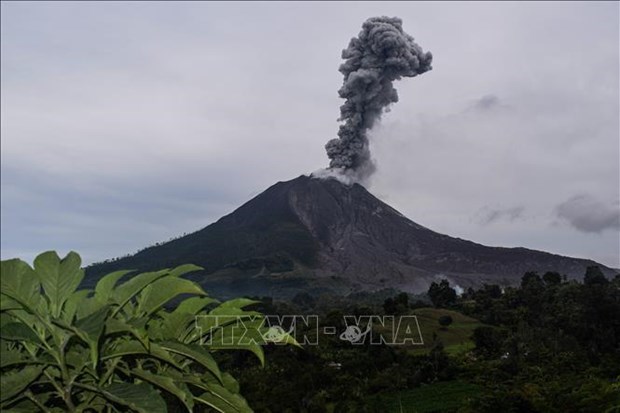 Indonesia's Sinabung volcano erupts again hinh anh 1