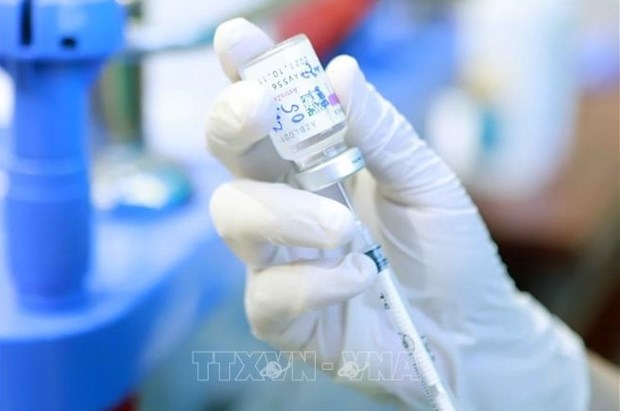 Vietnam to receive COVID-19 vaccines from UK, Czech Republic hinh anh 1