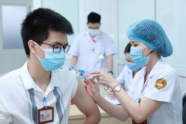 Vietnam consults experts on developing homegrown COVID-19 vaccines hinh anh 2