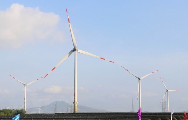 Over 100 wind power plants register to supply electricity to national grid hinh anh 1