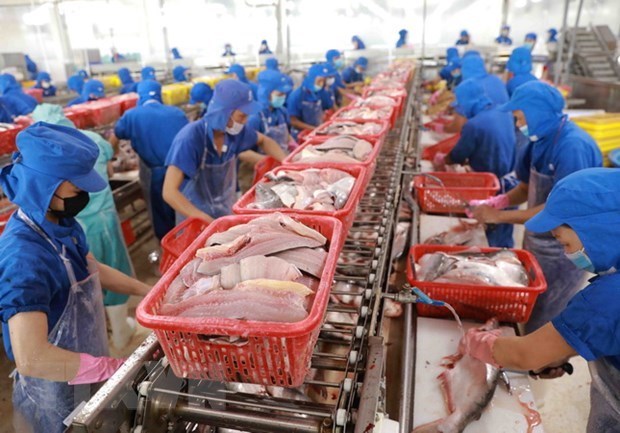 Fisheries exports down in July hinh anh 1