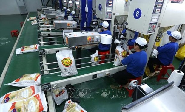 Rice exports hoped to recover after COVID-19 controlled: insiders hinh anh 1