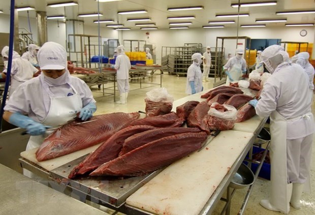 Tuna exporters forecast to meet difficulties in Q3 hinh anh 1