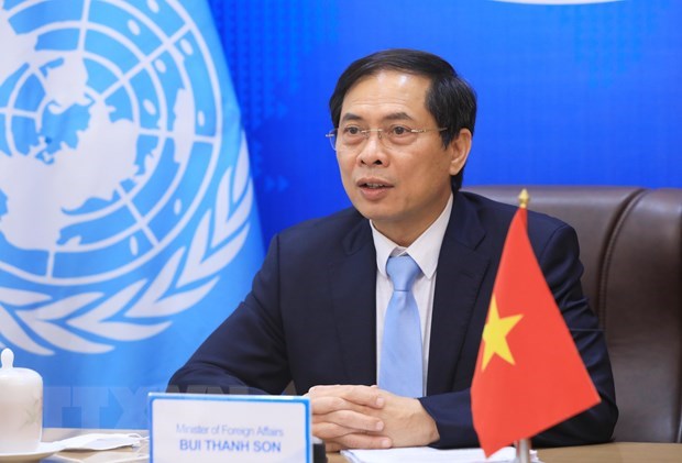 Vietnam values relations with ESCAP: Foreign Minister hinh anh 1