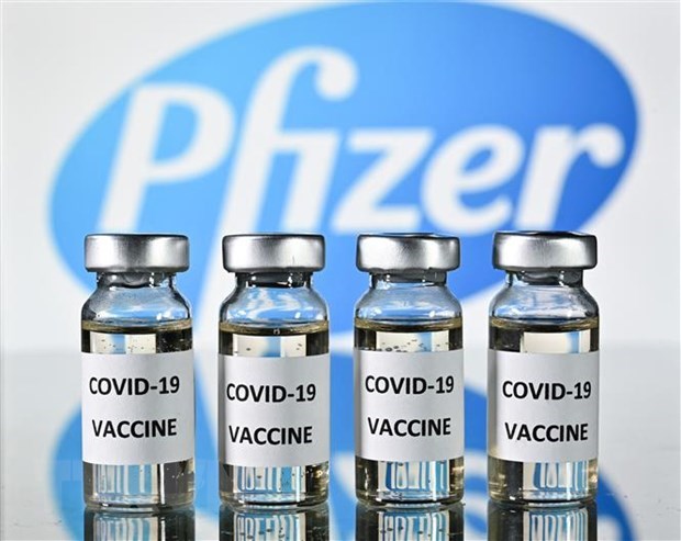Government agrees to buy nearly 20 million doses of Pfizer’s COVID-19 vaccine hinh anh 1