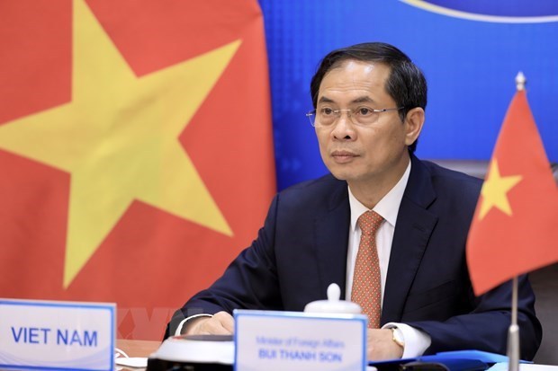 FM vows to work for fastest access to vaccines against COVID-19 hinh anh 1