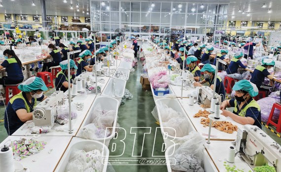 Thai Binh keeps yearly economic targets unchanged hinh anh 1