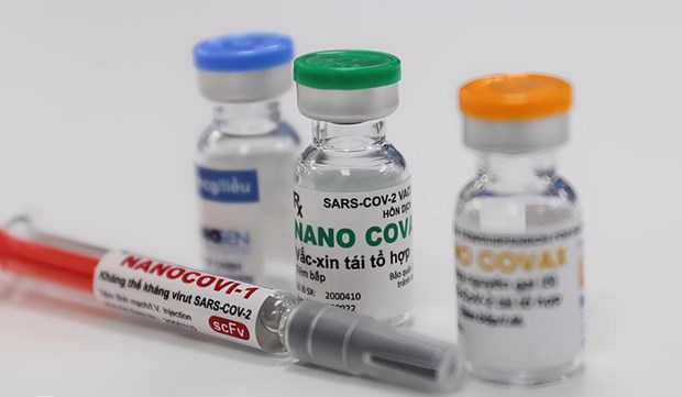 Nanogen asked to provide more data of homegrown Nano Covax hinh anh 1