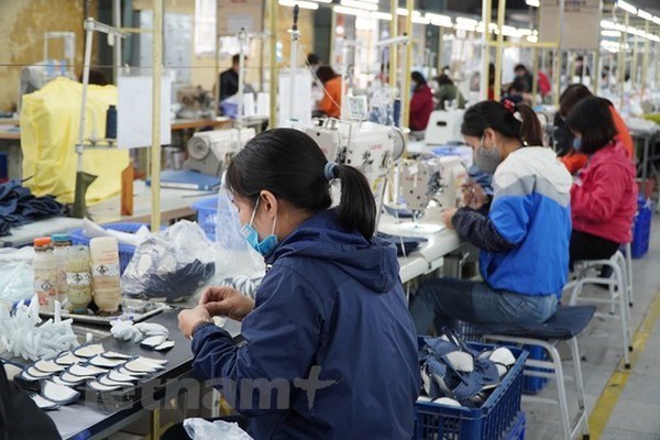 Vietnam’s investment shifting could boost economic resilience hinh anh 1