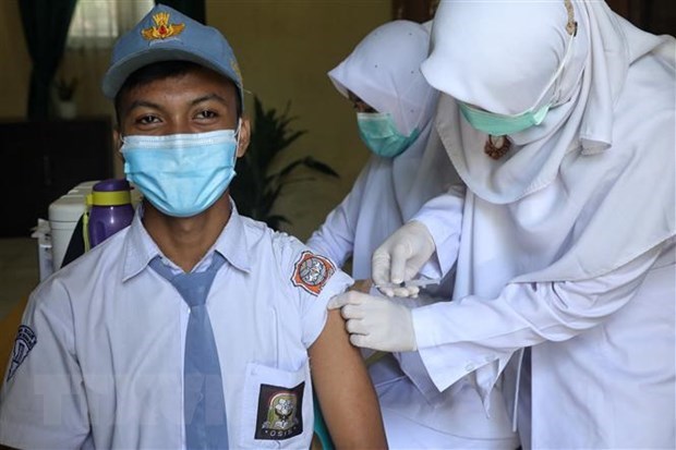 Indonesian President warns about the risk of prolonged COVID-19 epidemic hinh anh 1