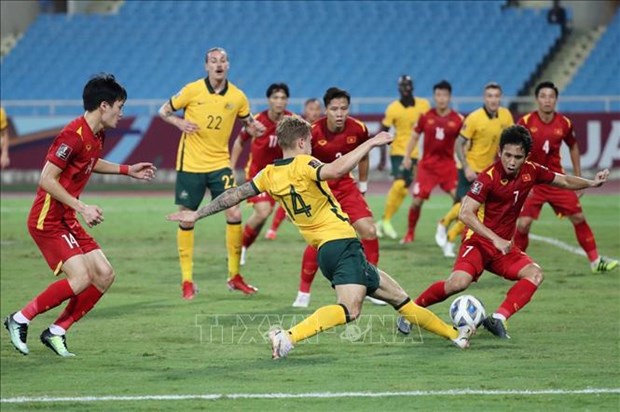 Australia’s win over Vietnam not quite as pretty: Aussie site hinh anh 1