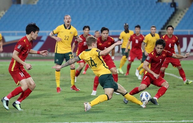 Vietnam lost to Australia but did good job: coach Park hinh anh 1