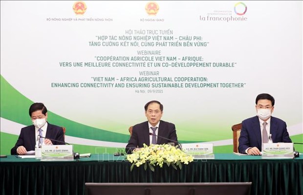 Seminar seeks way to boost sustainable Vietnam-Africa farming cooperation hinh anh 1