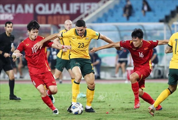 Vietnam's football body calls on FIFA, AFC to step up assessment of referee quality hinh anh 1