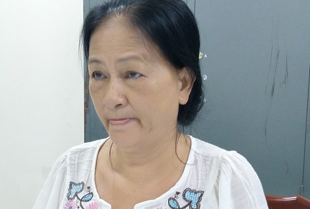 Woman in An Giang prosecuted for anti-State activities hinh anh 1