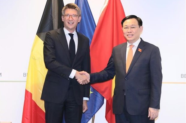 Vietnam, Belgium agree to bolster bilateral relations hinh anh 1