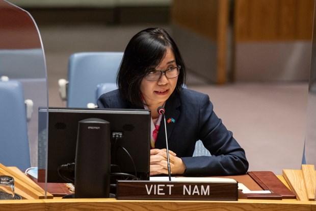 Cooperation is needed to ensure effective response to COVID-19: Diplomat hinh anh 1