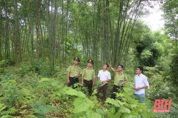 Thanh Hoa approves plan to preserve, develop Pu Luong Natural Reserve hinh anh 1