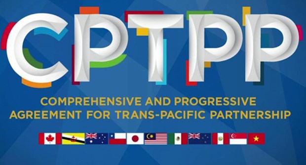 Vietnam ready to share information, experience in joining CPTPP: Spokeswoman hinh anh 2