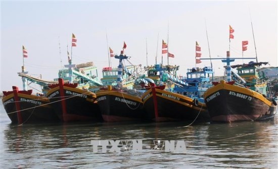 Binh Thuan province makes progress in fighting IUU fishing hinh anh 1