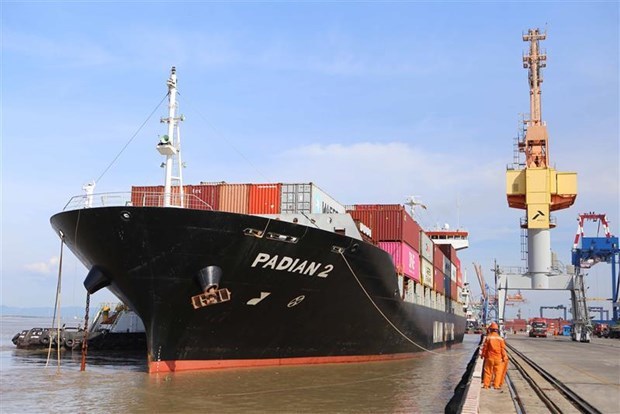 Hai Phong port receives three container ships of Maersk Line hinh anh 1