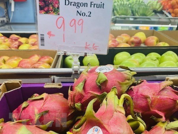 Vietnamese dragon fruit wins consumers’ favour in Australia hinh anh 1