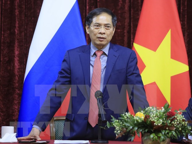 FM Bui Thanh Son meets Vietnamese community in Russia hinh anh 1