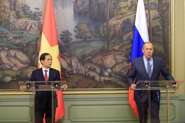Vietnam - Russia partnership keeps developing dynamically: FMs hinh anh 1