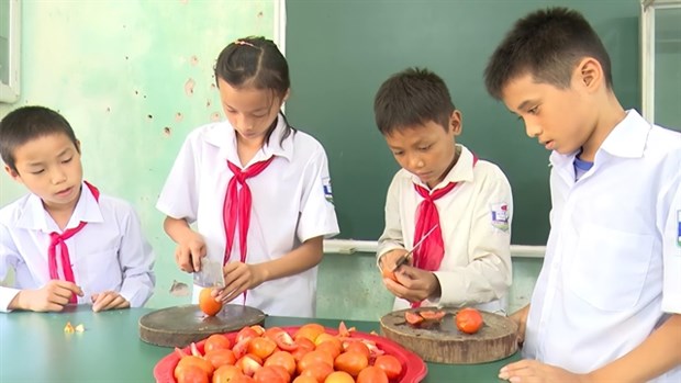 Self-sustaining school aids ethnic minority students hinh anh 1