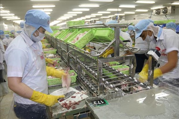 Tien Giang’s export up over 11 percent in nine months hinh anh 1