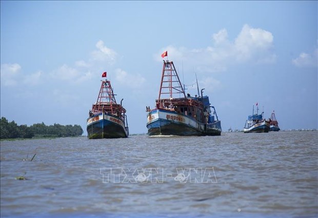 EC to review Vietnam's efforts against IUU at online meeting hinh anh 1