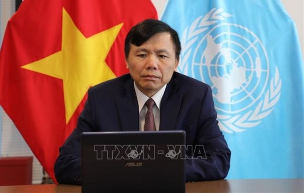 Vietnam will try its best to fulfill its mission: Ambassador hinh anh 1