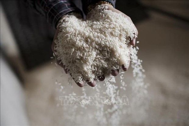 Laos exports rice to EU for first time hinh anh 1