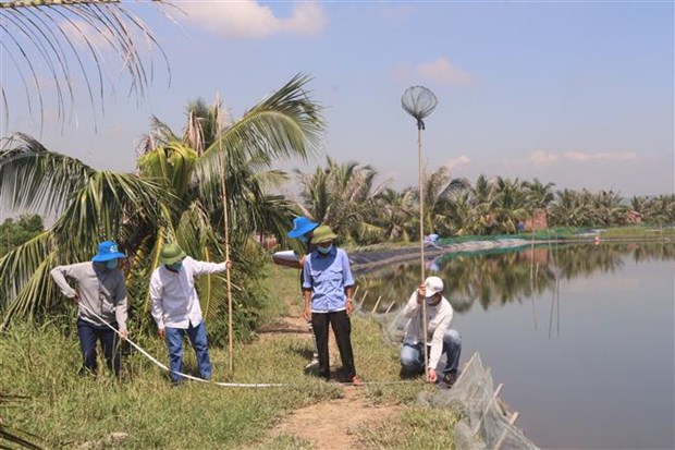 Quang Yen town works to help Quang Ninh achieve double-digit growth hinh anh 1