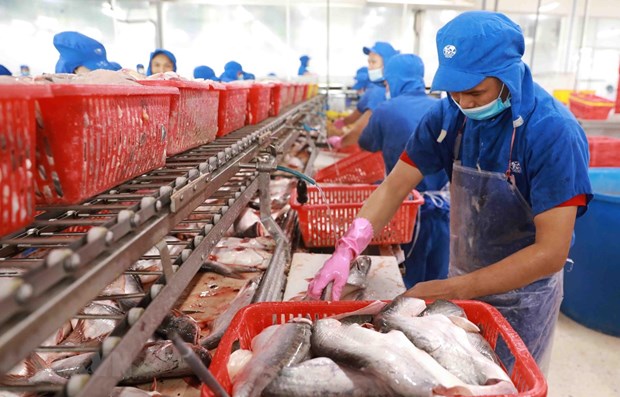Seafood exports in September down, recovery slow hinh anh 1