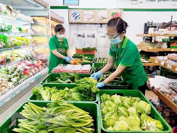 Vietnam is Russia’s sixth largest supplier of processed fruits, vegetables hinh anh 1