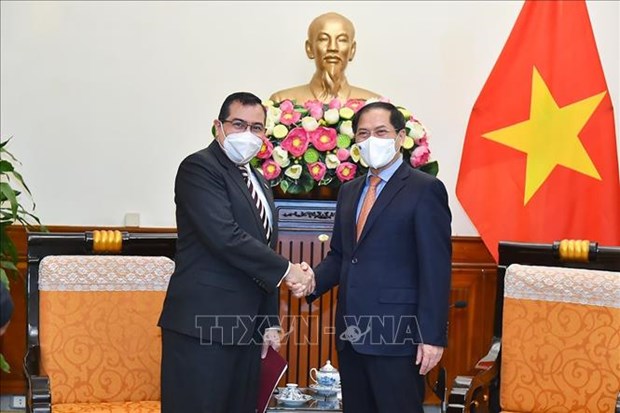 Vietnam wishes to deepen relations with Panama: FM hinh anh 1