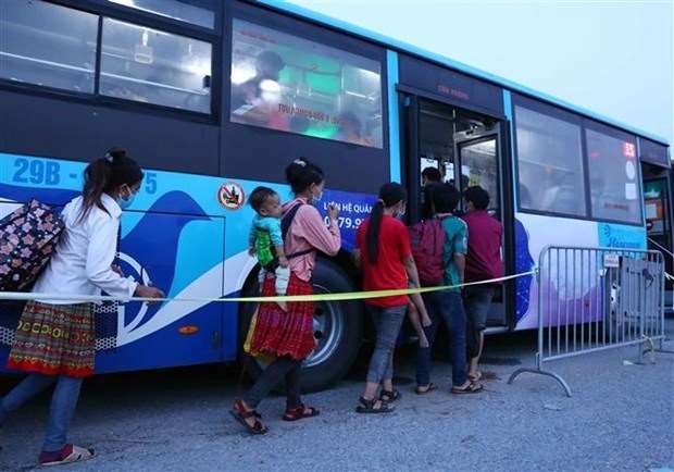 Pilot road passenger transport recovery scheme to start from October 13 hinh anh 1