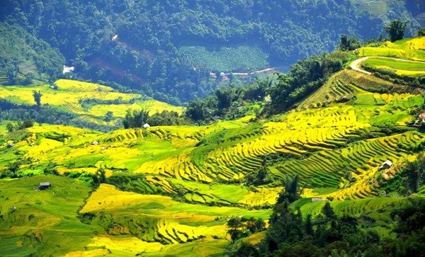 Ngai Thau Thuong – highest village in Vietnam hinh anh 1