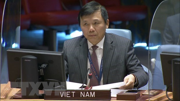 Vietnam committed to fostering international peace and security: Diplomat hinh anh 1