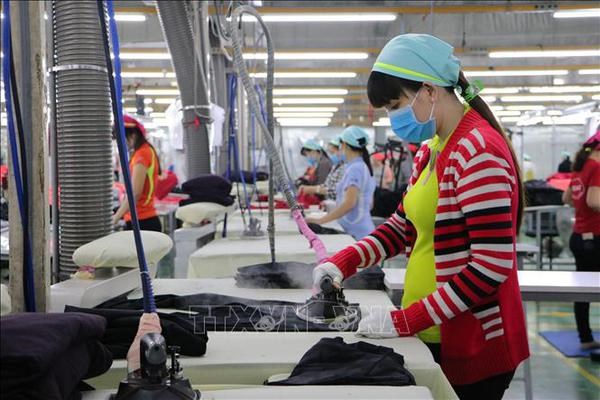 Dong Nai firms ask for favourable conditions for experts, workers to travel to work hinh anh 1